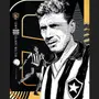 Botafogo e CBF prestam homenagem a Nilton Santos, que faria 100 anos nesta sexta-feira