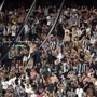 Botafogo x Barcelona-EQU chega a 30 mil ingressos vendidos; setor Norte é desbloqueado