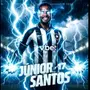 BOTAFOGO ANUNCIA RETORNO DE JÚNIOR SANTOS, ARTILHEIRO NO TÍTULO DA LIBERTADORES: ‘O RAIO CAI PELA TERCEIRA VEZ EM CASA’